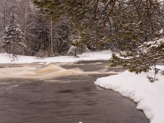 A snowy winter scene featuring a pine branch covered in fluffy snow in the foreground. The branch...