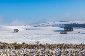 Fototapeta premium An idyllic snow covered South Downs landscape, at Stanmer Down