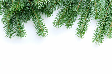 Fototapeta premium Close-up of lush green pine branches with space for seasonal greetings and holiday designs