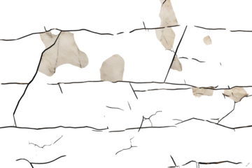 Textured rock surface with visible cracks and natural patterns showcasing geological features of the region