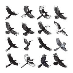 collection of birds