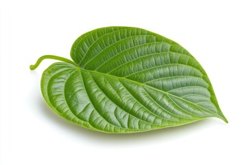 betel leaf 