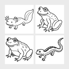 Wild Amphibians Art Pack.