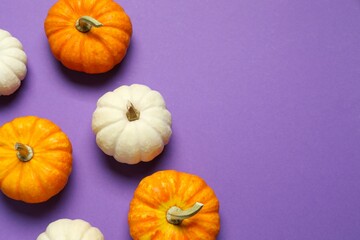 Beautiful autumn composition with pumpkins on a color background, top view