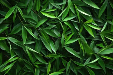 Fototapeta premium Green Energy for World Water and Forest Conservation Day