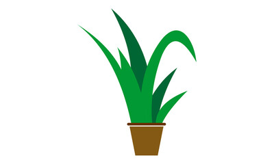 houseplant vector design