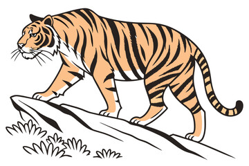 Malayan Tiger line art