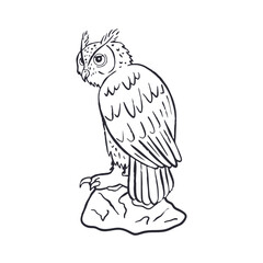 Hand drawn black and white line art eagle-owl sitting on rock isolated on white background. Monochrome nocturnal bird vector illustration.