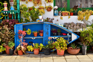 Blue  boat, cacti, succulents plants in flower pots and creative decoration outside.