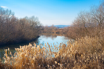 Beautiful view of the banks of the Mures River near the town of Targu Mures in the heart of Transylvania, Romania on a beautiful early morning.