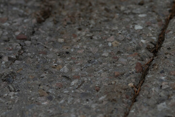The concrete ground showcases pebbles and gravel that are clearly visible in a natural outdoor environment, creating an interesting design