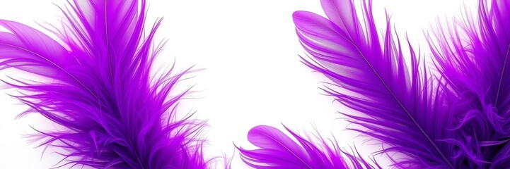Obraz premium Vibrant Purple Feathers in Abstract Style Against White Background with Copy Space