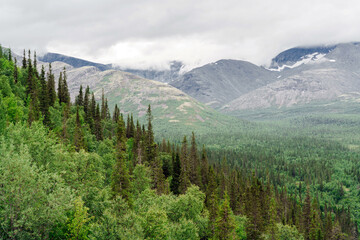 Lush green forest with towering mountains under cloudy sky in a remote wilderness area