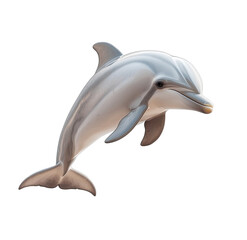 Obraz premium Playful baby dolphin on transparent background