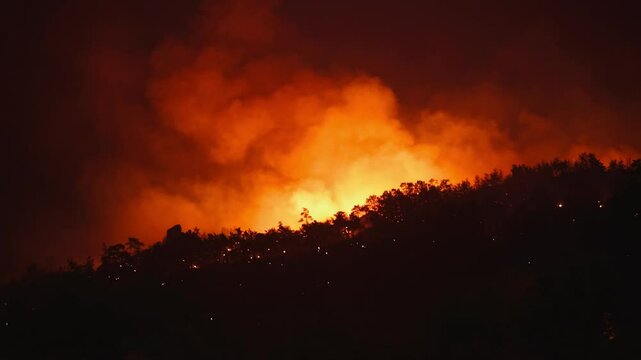 An aerial view shows a forest fire engulfing a hillside, with dense smoke rising and flames visible among the trees. The video the destructive power of the fire and its effect on the environment