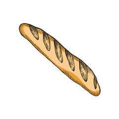 A hand-drawn cartoon-style illustration of a classic French baguette. Long and golden-brown with a rustic texture, isolated on a white background