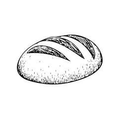 Loaf of bread vector illustration in a hand-drawn style. Rustic cartoon design of fresh bread with a crust, isolated on a white background