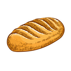 Loaf of bread vector illustration in a hand-drawn style. Rustic cartoon design of fresh bread with a crust, isolated on a white background