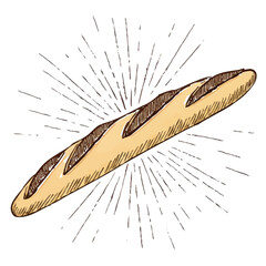 A hand-drawn cartoon-style illustration of a classic French baguette. Long and golden-brown with a rustic texture, isolated on a white background
