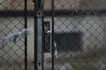 A metal latch is attached to a gate that is situated within a chain link fence, and the entire scene is surrounded by soft, white snow