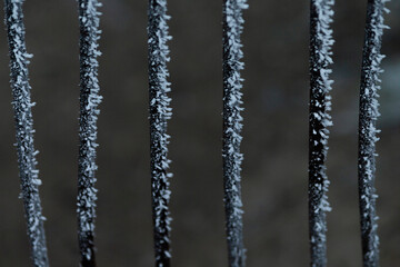 Frost adorning the metal fence rails brilliantly showcases the intricate and delicate icy patterns found in nature outdoors