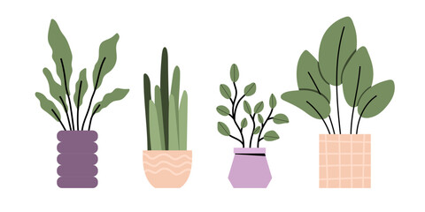 Minimalist potted plants with decorative vases on a white background. Vector set of Flower Pots