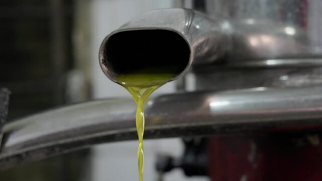 A detailed visual journey showcasing the traditional and modern processes of olive oil production. Features olive harvesting, milling, cold-pressing, and bottling, highlighting Mediterranean landscape