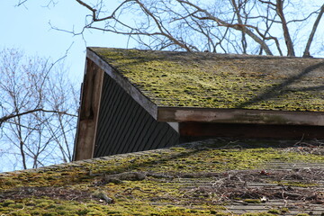 Old barn covered in moss