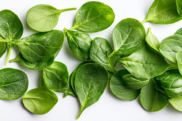 Fototapeta premium green Spinach leaves isolated on white