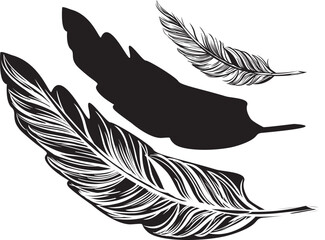 Obraz premium Feather beautiful vector drawing set