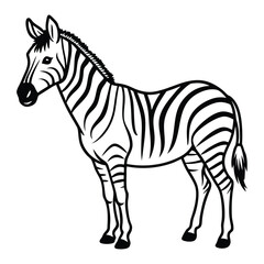 Fototapeta premium Elegant Zebra Line Art Design