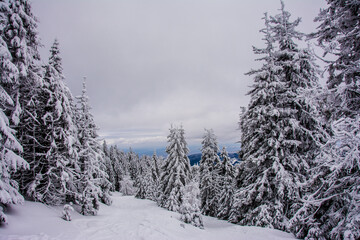 Naklejka premium Panorama of the foggy winter landscape in the mountain