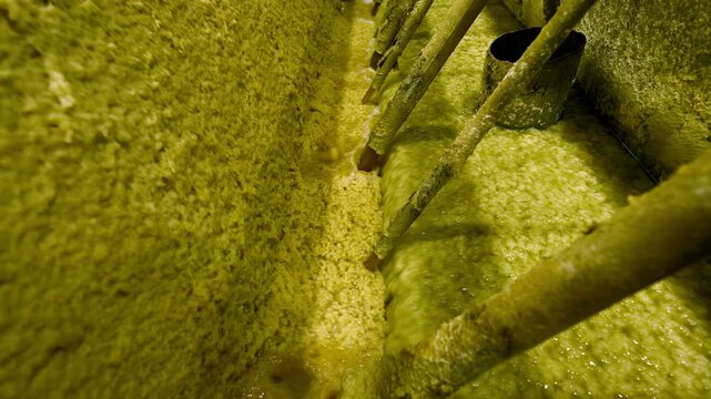 Taking cellulose pulp with huge vacuum drum at plant