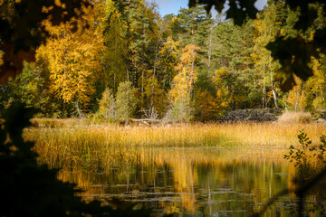 Landscape around Bellen lake in Sweden