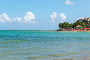 beach with trees tropical beach in northeastern Brazil in the state of Alagoas, city of Maceio, Ponta Verde beach