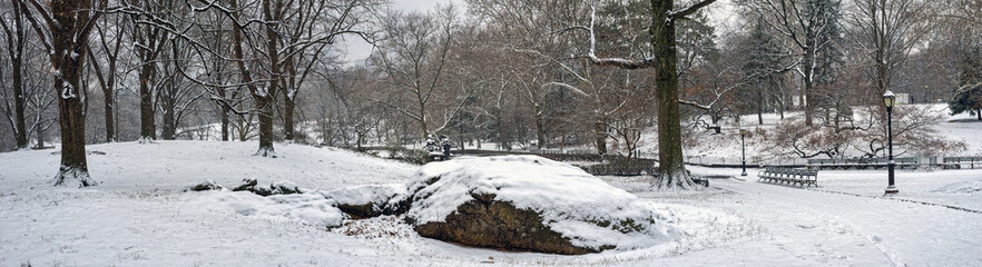 Central Park in winter, snowstorm in morning