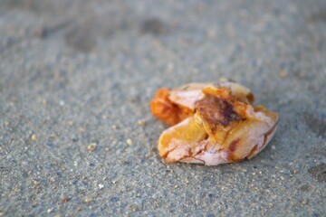 smushed apricot fruit on the ground