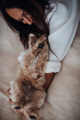 Happy owner hold and play with cute Maltipoo puppy in the room