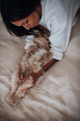 Happy owner hold and play with cute Maltipoo puppy in the room