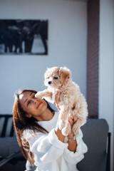 Happy owner hold and play with cute Maltipoo puppy in the room