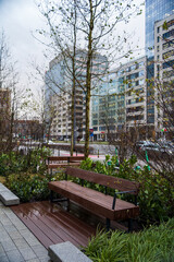 City. Buildings. Bench. City bustle