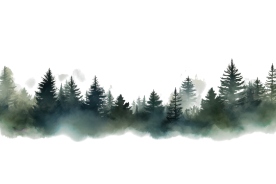 Misty forest landscape at dawn showcasing evergreen trees and distant mountains