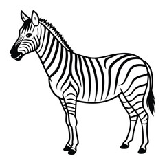 Fototapeta premium Elegant Zebra Line Art Design