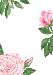 Hand painted watercolor floral frame featuring pink roses and green leaves. Clipart template with text space, ideal for Valentine s Day, greeting cards, wedding stationery, spring-themed projects