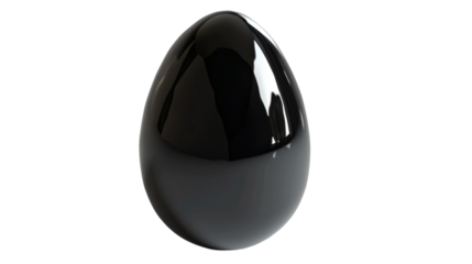 A black egg with a glossy surface depicted on a white background