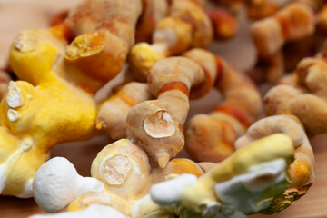 Reishi mushroom - fruiting body of medicinal fungi, used in traditional Chinese medicine.