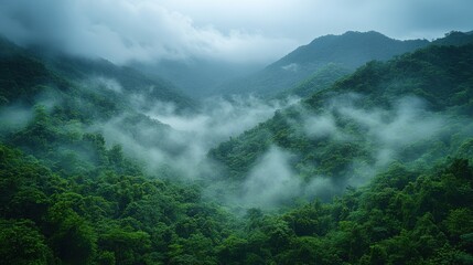 Obraz premium floresta com neblina na cidade de conceicao do mato dentro estado de minas gerais brasil