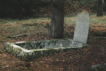 Łęsko - an old, post-German, abandoned cemetery hidden in the autumn forest.