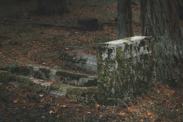 Łęsko - an old, post-German, abandoned cemetery hidden in the autumn forest.