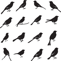 Birds on a Tree Branch Silhouettes Set